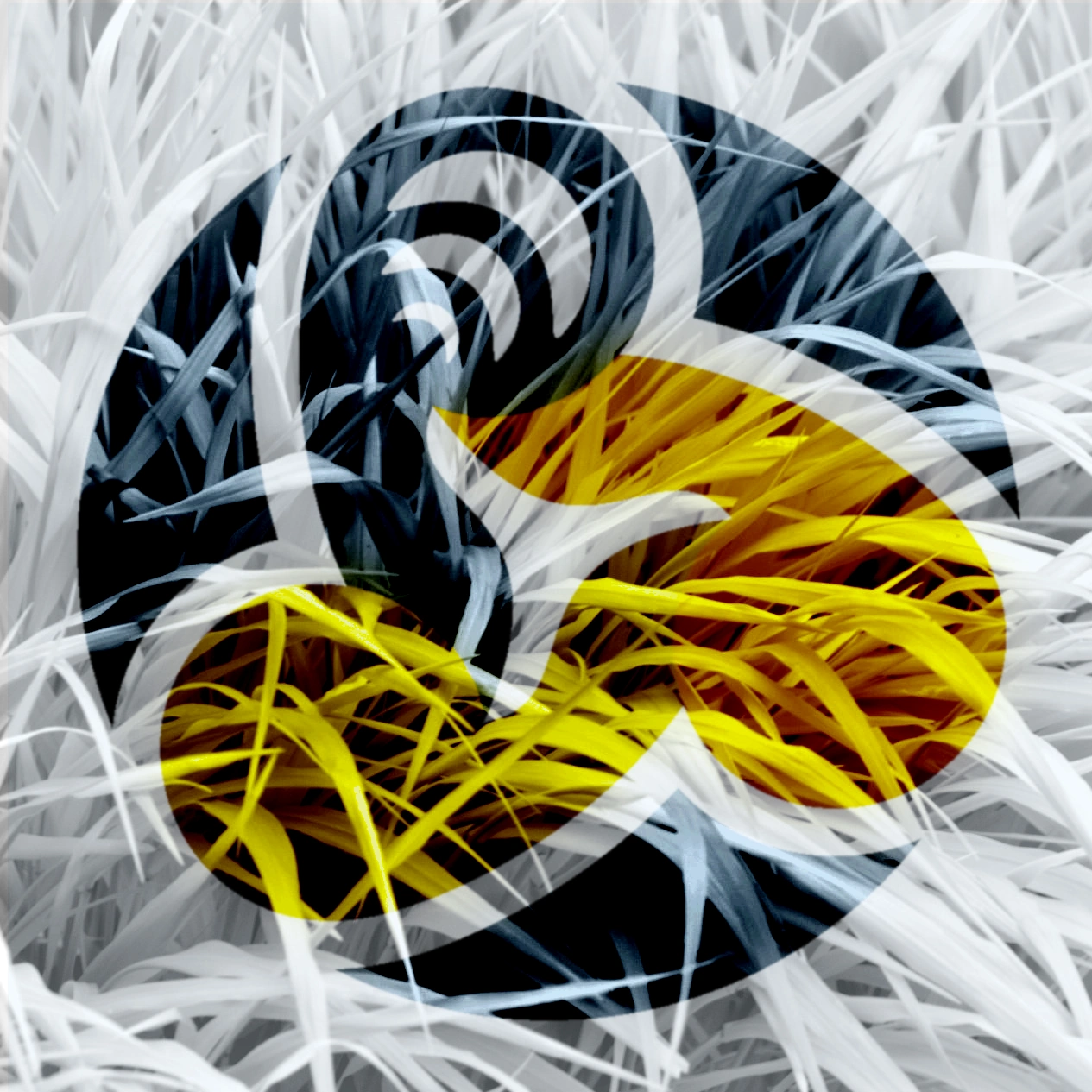 Grass patch with Pernet Systems logo overlay